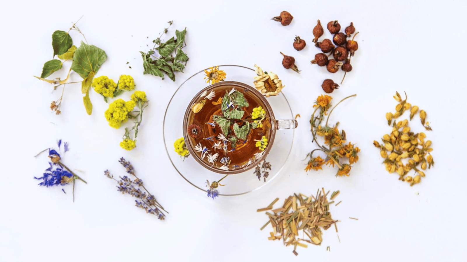 Powerful Indian Herbs, Herbal Tea Made Out of It and Its Benefits